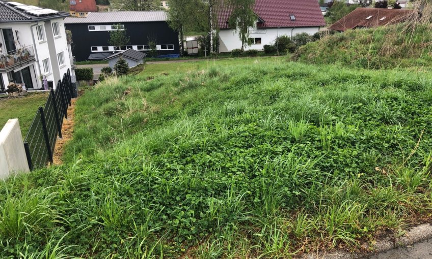Willkommen in Uhlingen-Mühlhofen! Auf diesem (noch) grünen Grundstück starten schon bald die Bauarbeiten, denn: Hier entsteht das persönliche Traumhaus der Bauherren.